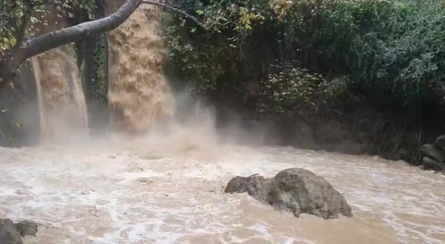 בניאס עופר שנער