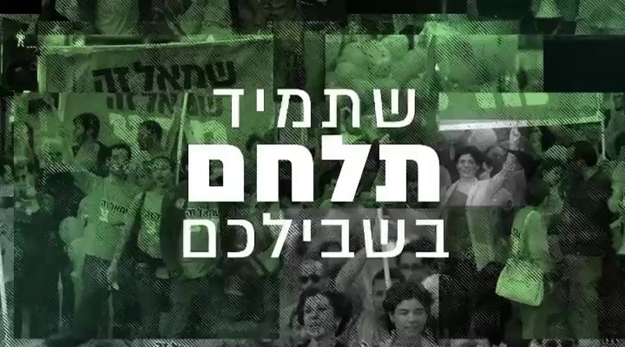 מרצ סרטון בחירות