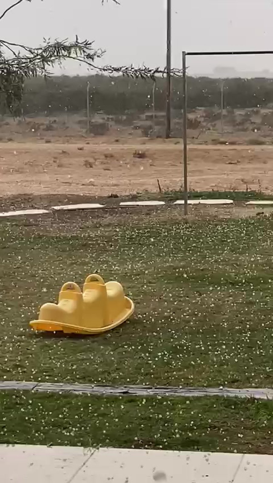 ברד ברתמים