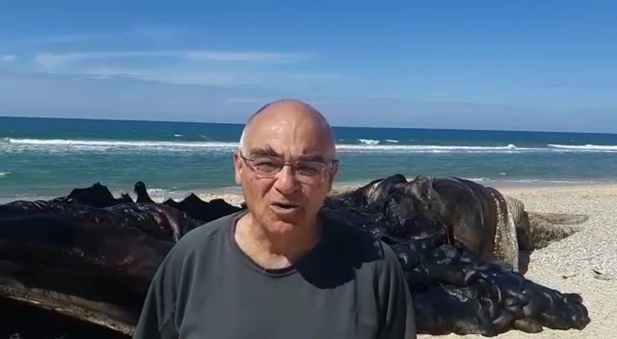 ד״ר רוני קינג רשות הטבע והגנים