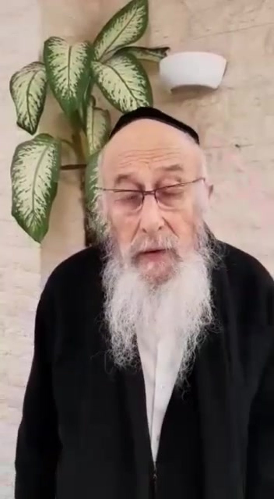 הרב טאו