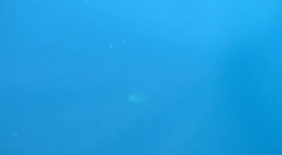 WhatsApp Video 2021-03-10 at 11.13.41 (2)