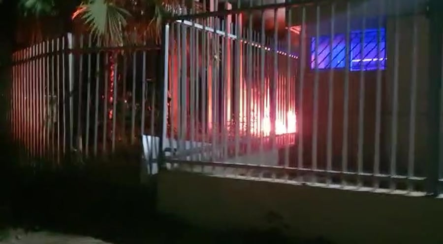 WhatsApp Video 2021-05-14 at 00.59.56