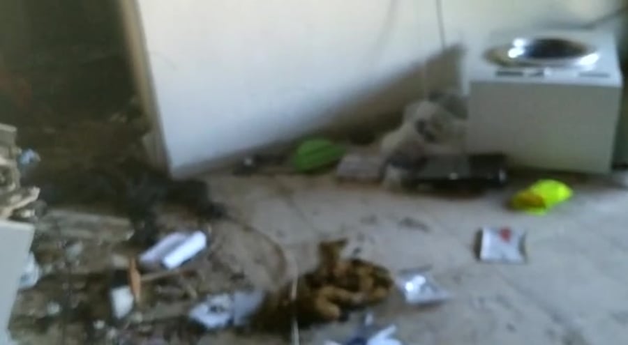 WhatsApp Video 2021-05-14 at 11.01.43 (1)