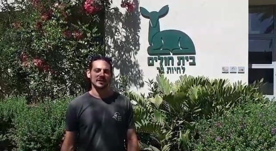 נשר דרומי בתל אביב רטג (1)