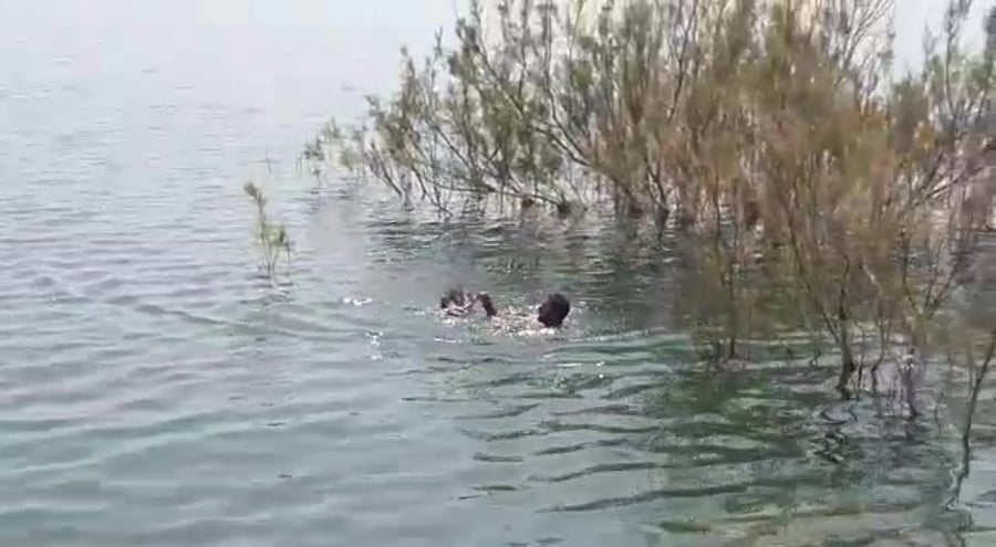 WhatsApp Video 2021-05-20 at 16.27.50