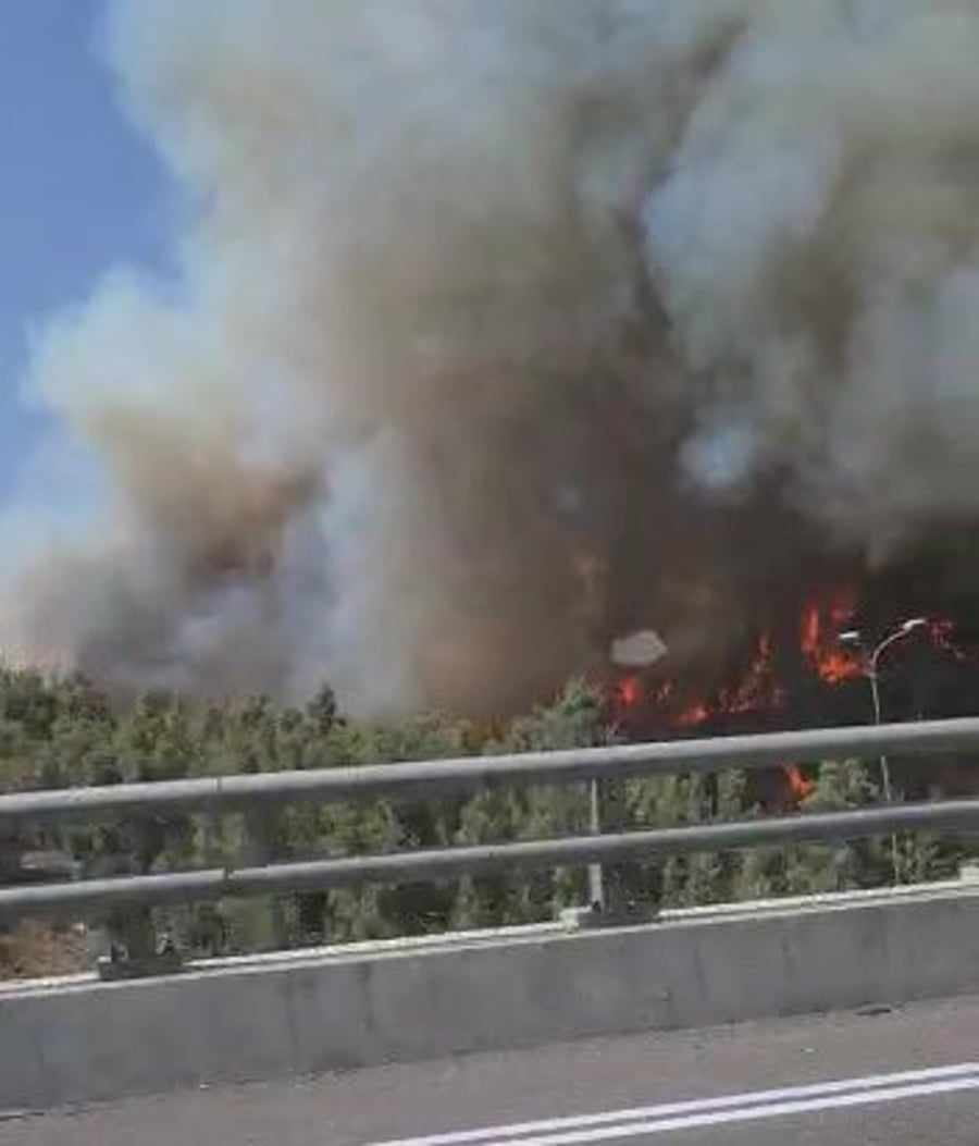 שריפה מבשרת ציון רני הלנדר