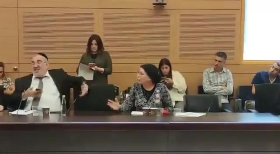 סטרוק ובן ארי בוועדה המסדרת