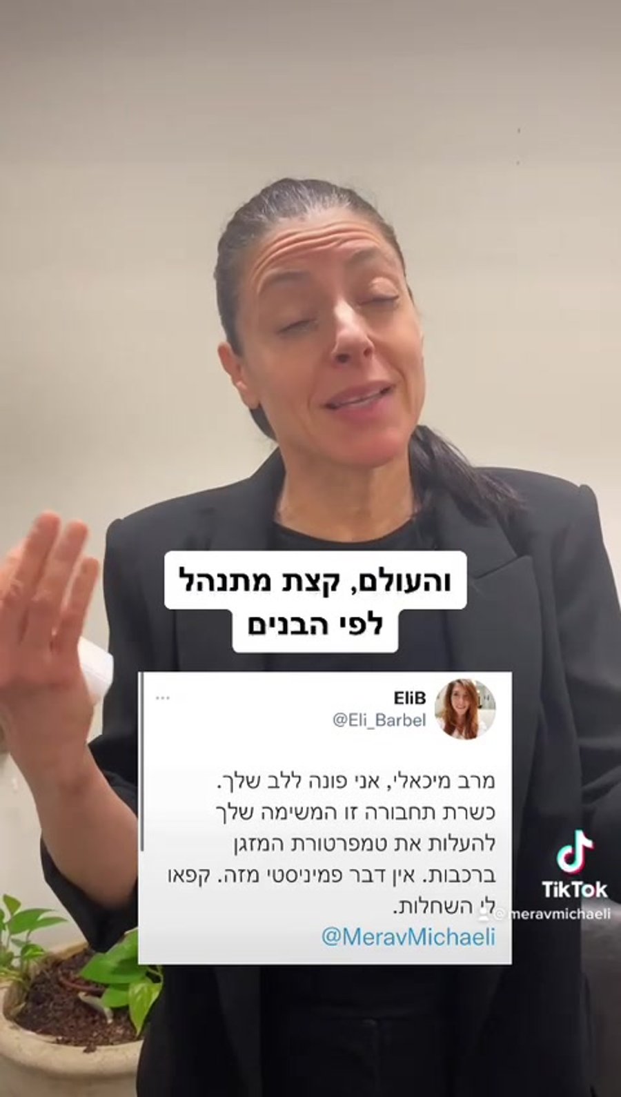 מרב מיכאלי