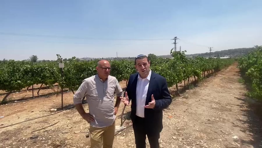 יום טוב כלפון יגאל דלמוני
