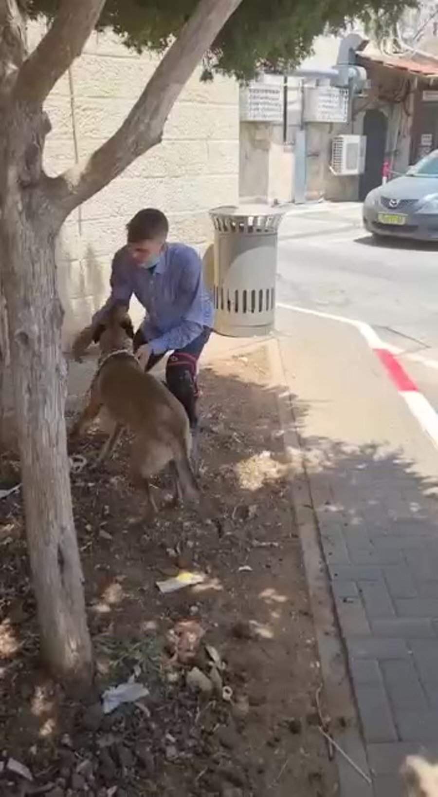 גסי חוזרת הביתה