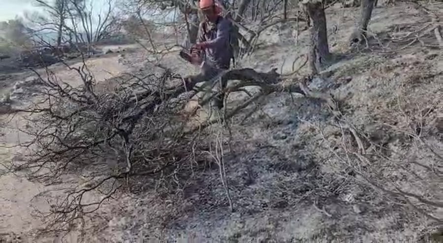 WhatsApp Video 2021-08-16 at 14.01.32