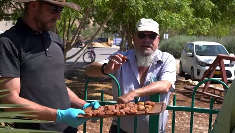 שהחיינו על תמרים