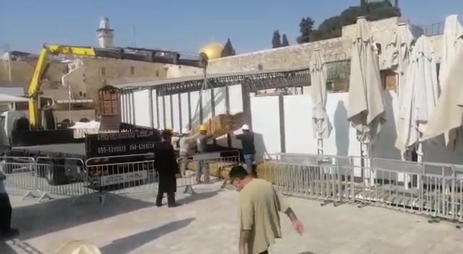 WhatsApp Video 2021-08-31 at 07.31.57