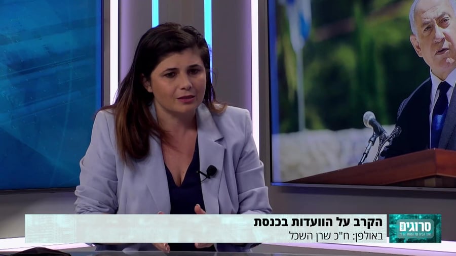 שרן השכל – אמיר