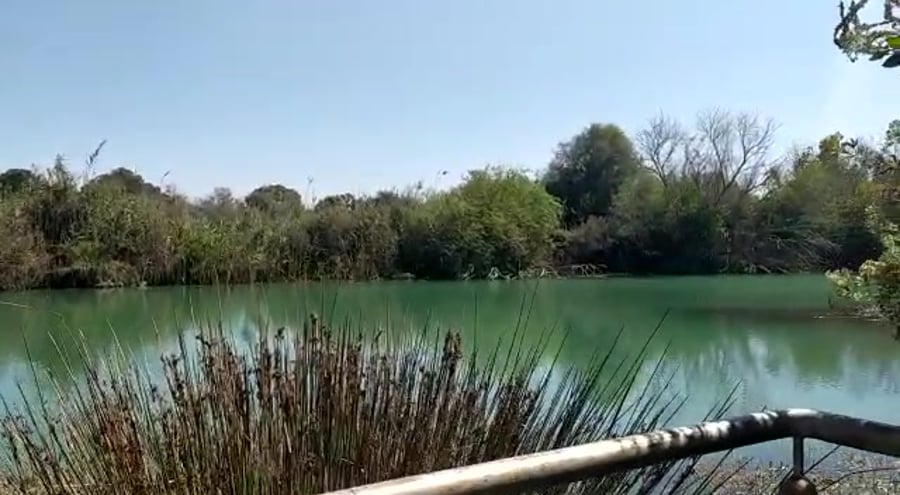 WhatsApp Video 2021-09-26 at 13.33.46
