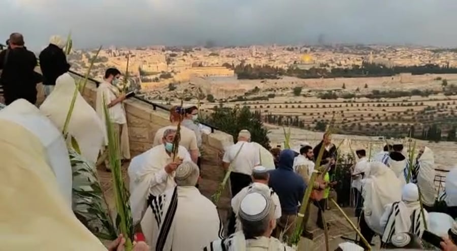תפילת סוכות ארבעת מינים