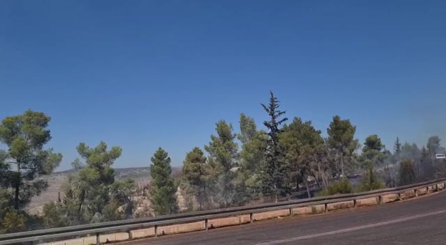 שריפה גבעות 2
