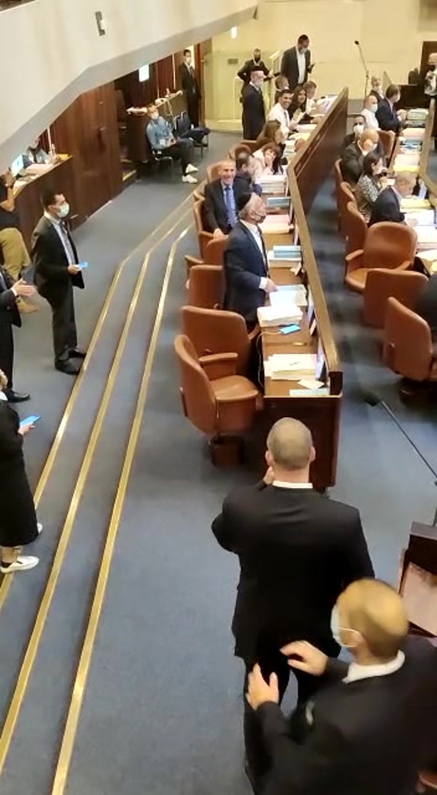 אבוטבול חתול