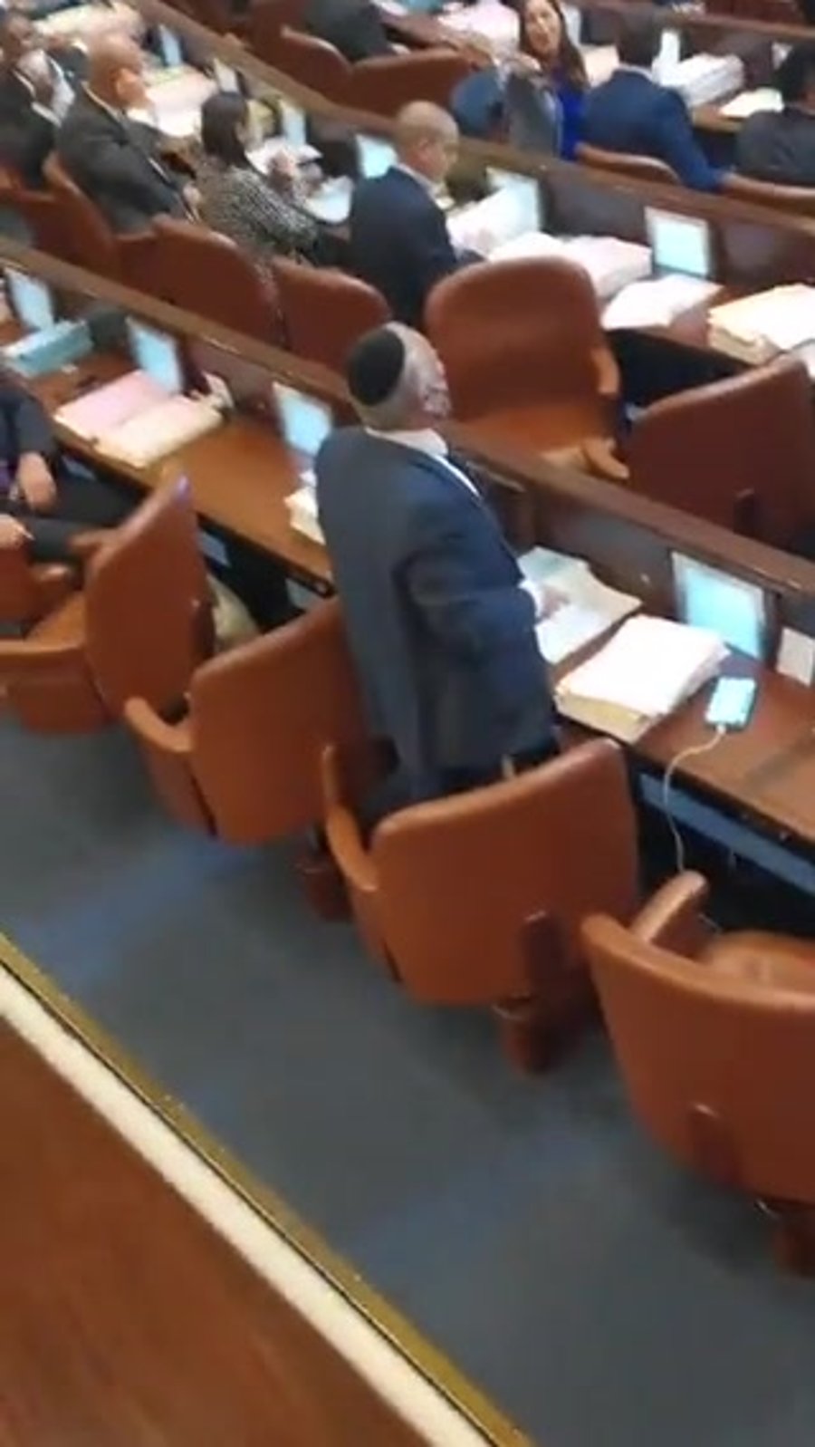 סרטון בובה חתול