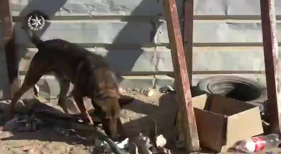 WhatsApp Video 2021-11-08 at 20.00.22