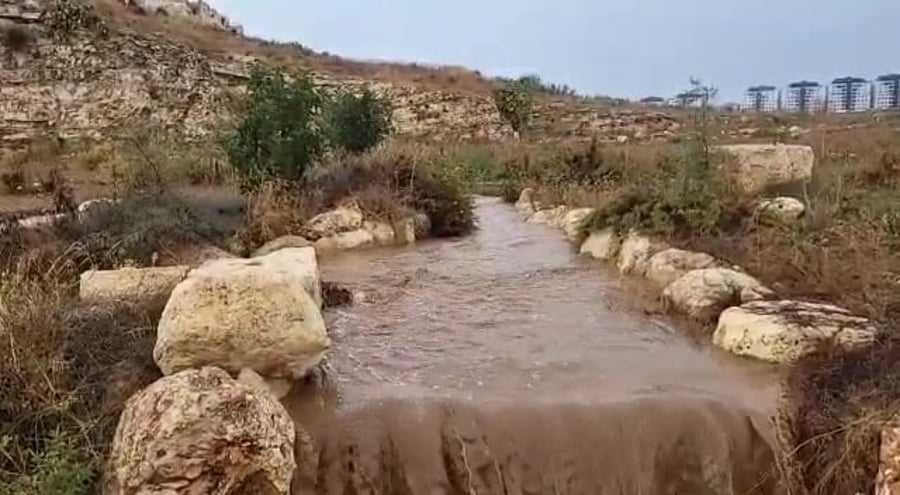 הגן הלאומי מגדל צדק אורי קייזר רשות הטבע והגנים1