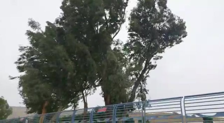 רוחות 1