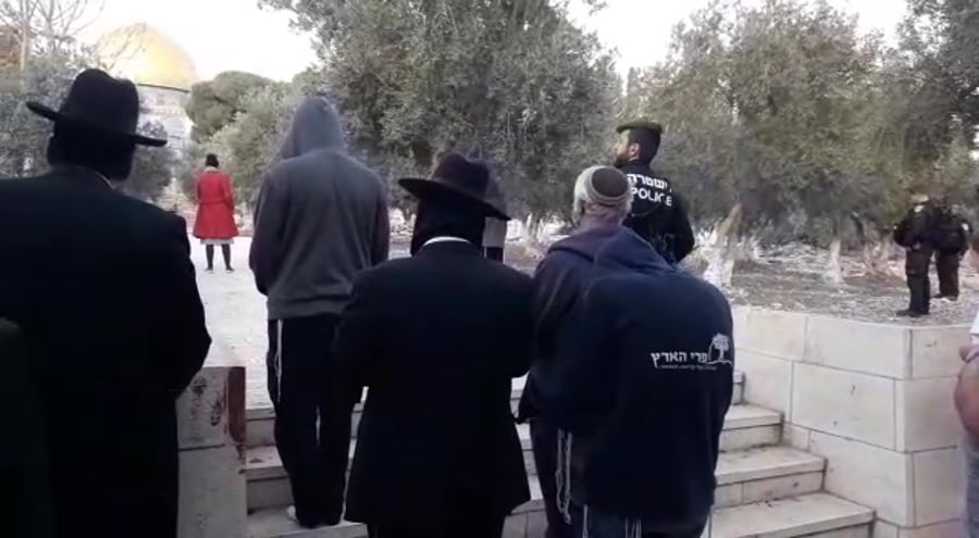 WhatsApp Video 2021-12-14 at 19.01.48