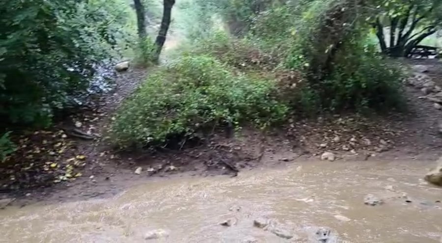 נחל מערות זורם אדוה פרץ רשות הטבע והגנים