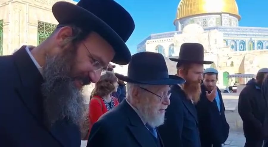 הר הבית הרב דב ליאור