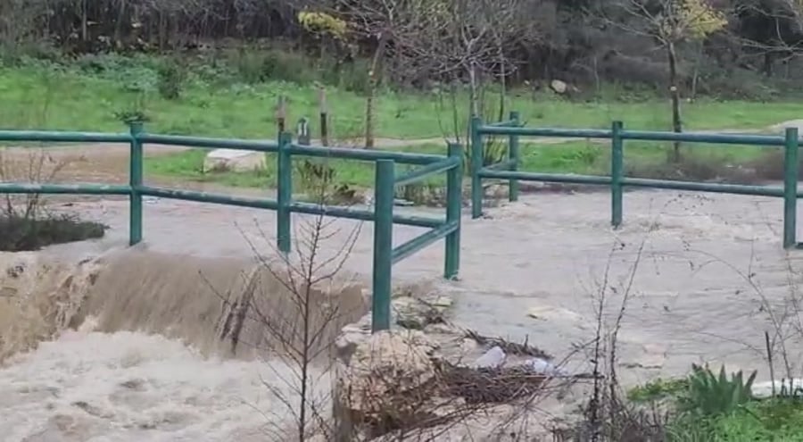 WhatsApp Video 2022-01-16 at 08.03.11