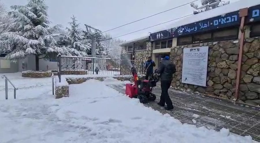 WhatsApp Video 2022-01-16 at 08.43.23