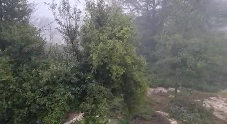 שלג גוש עציון יעקב ליפקין