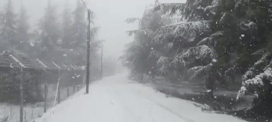 WhatsApp Video 2022-01-26 at 09.58.59