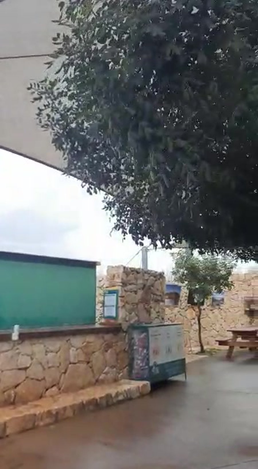 צילום וסים נוגדאת מרשות הטבע והגנים מסייע לשועל לרדת מגג מבואת הגן הלאומי ארבל.