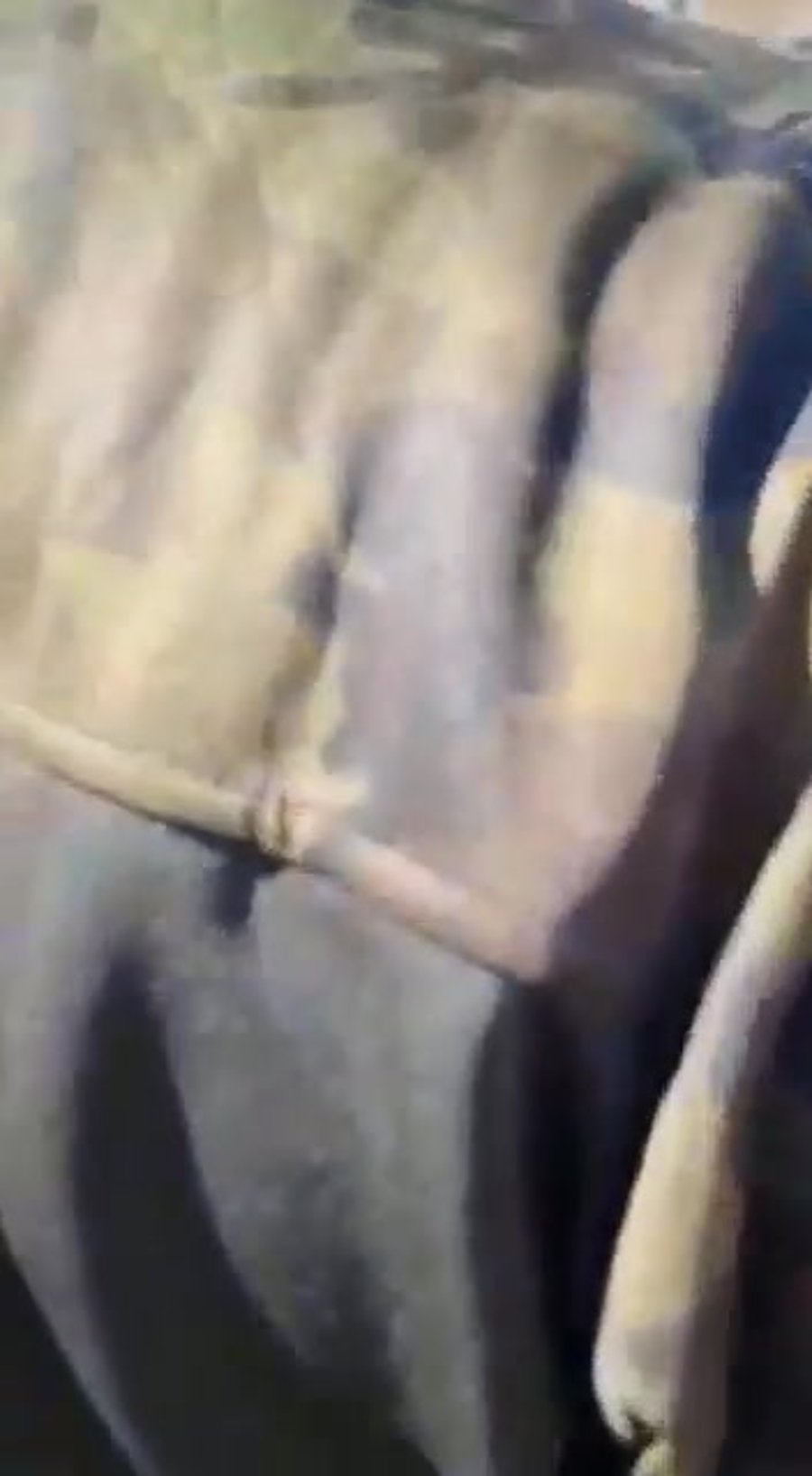 WhatsApp Video 2022-02-08 at 13.37.56