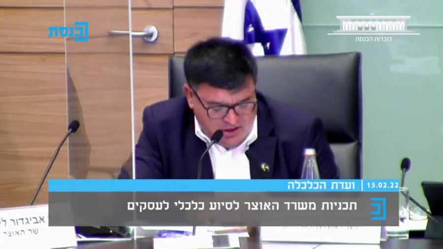 סערה ועדת הכלכלה גלית דיסטל