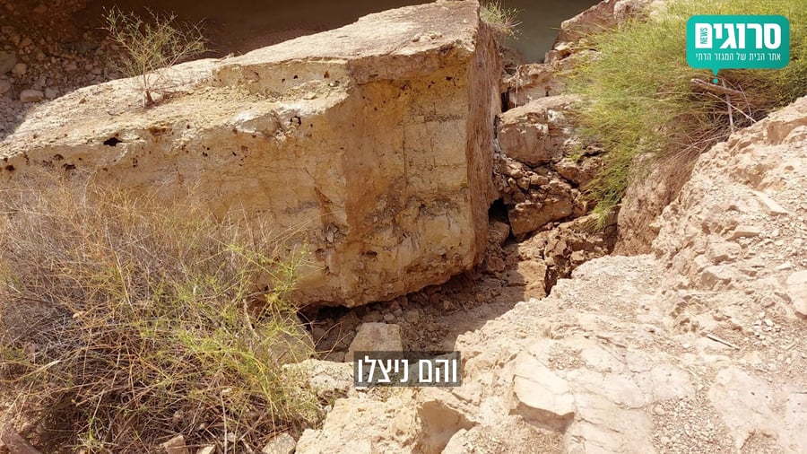 נס בנחל ערוגות גלעד רנד