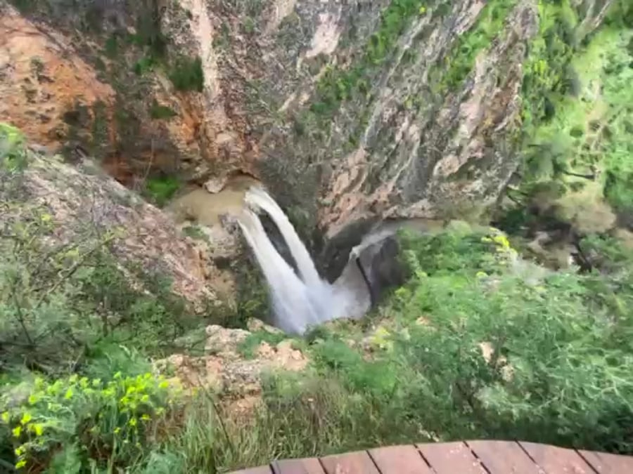 נחל עיון