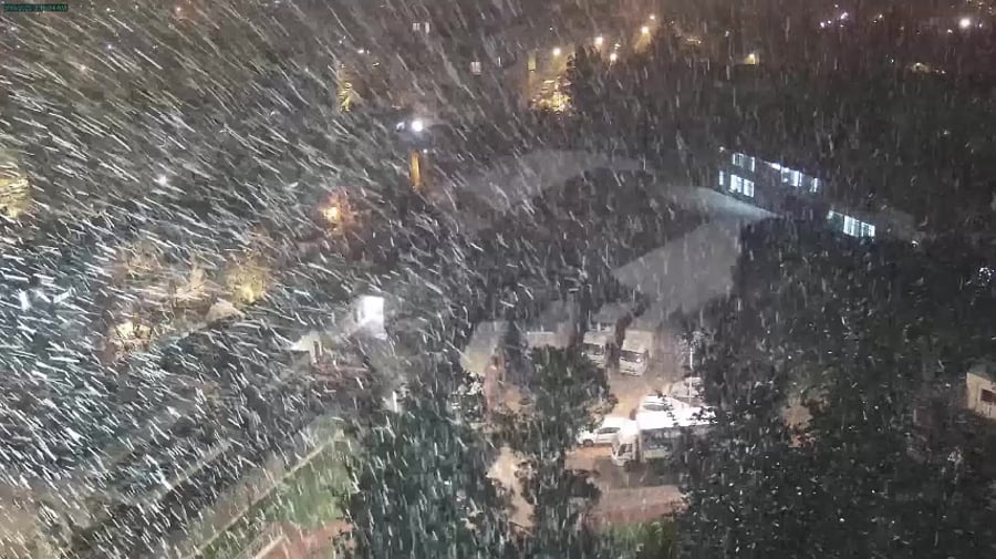 WhatsApp Video 2022-03-15 at 06.39.30
