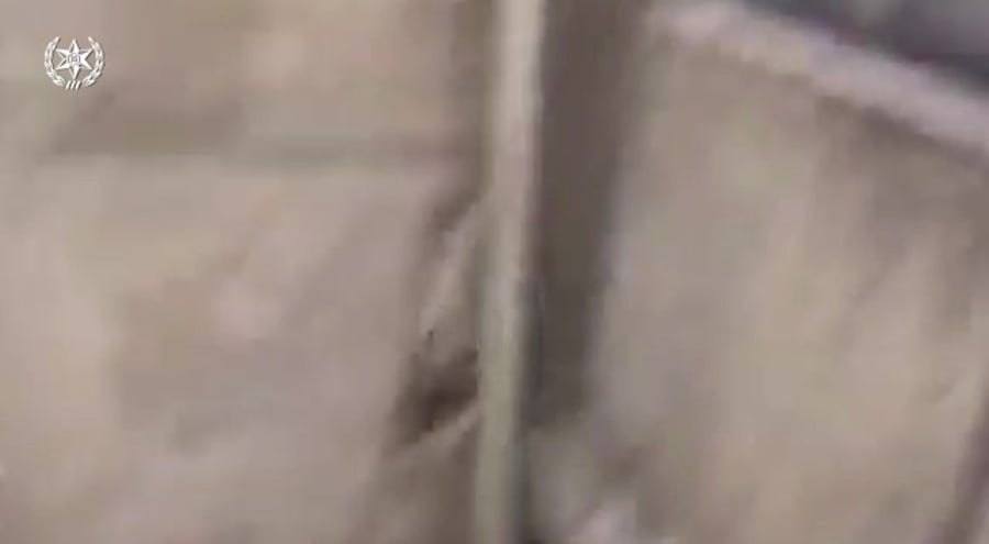 WhatsApp Video 2022-03-15 at 18.06.02