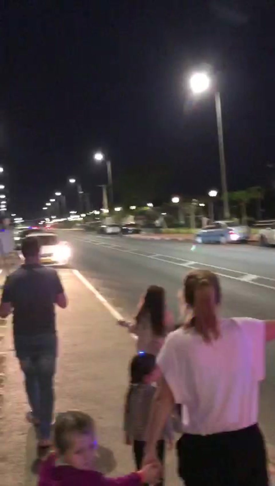 הפגנה אלקנה