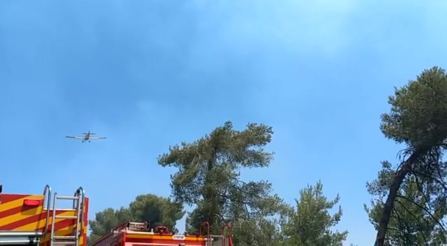 שריפה צור הדסה