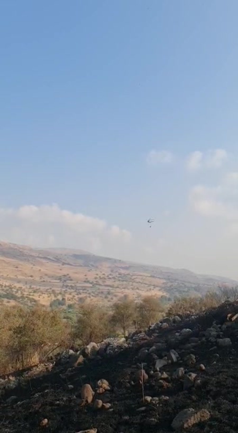 WhatsApp Video 2022-07-18 at 08.10.31