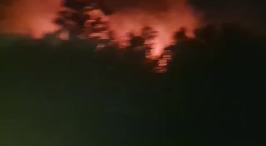 WhatsApp Video 2022-07-18 at 08.10.30