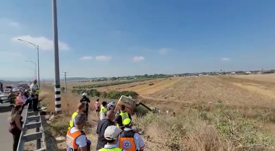 WhatsApp Video 2022-07-18 at 08.56.47