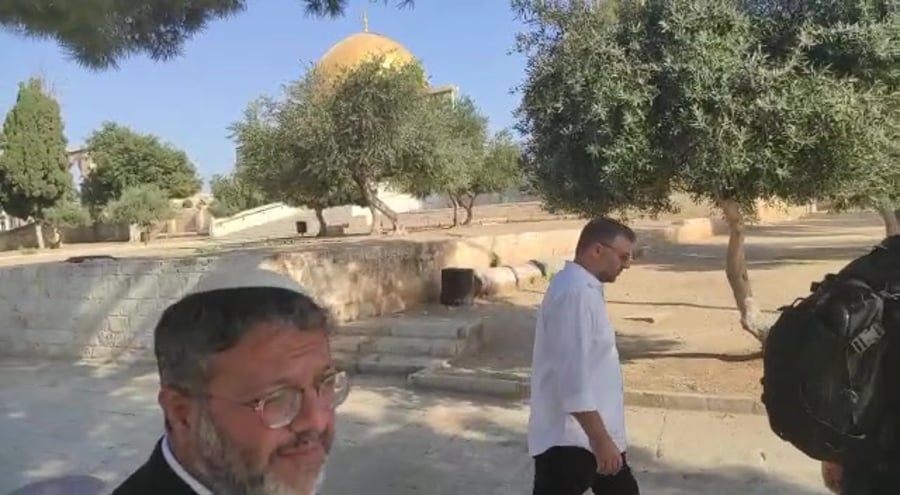 WhatsApp Video 2022-08-07 at 09.25.25