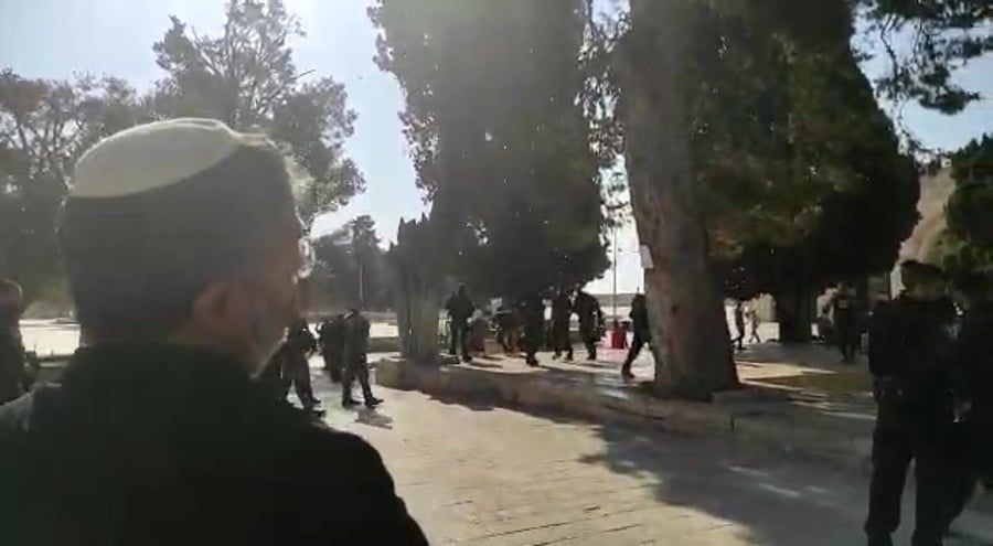 WhatsApp Video 2022-08-07 at 09.25.26