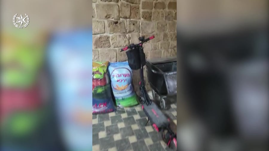 סרטון כלבים וכלוב