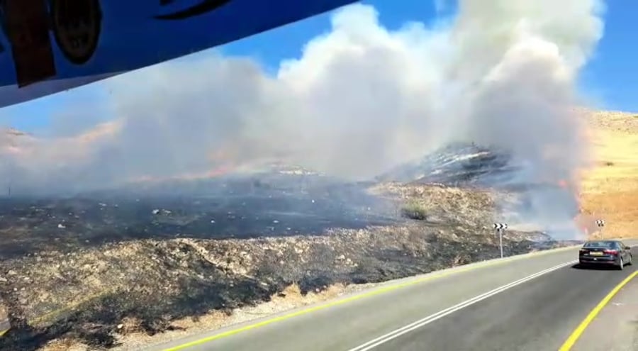 שריפה בגולן (צילום: דוברות כבאות והצלה)